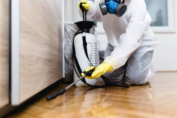 Pest Control Cost in Malakoff, TX