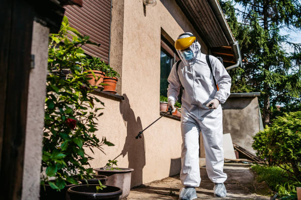 Best Termite Control Services  in Malakoff, TX