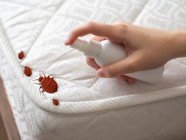 Insect Control in Malakoff, TX