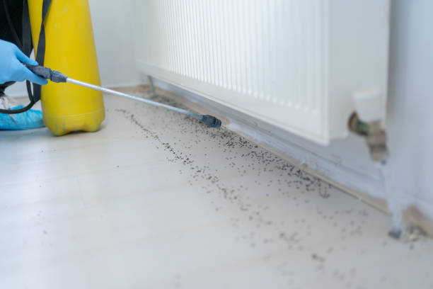 Best Wildlife Control Services  in Malakoff, TX