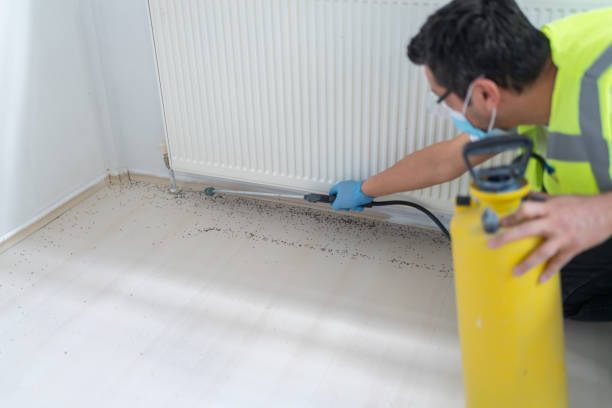 Best Flea Control Services  in Malakoff, TX